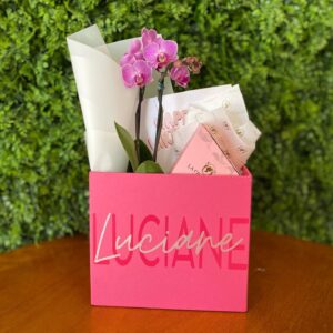 Box Mini Orquídea Phalænopsis